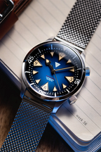 Vertigo Hippocampus Blue