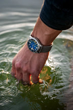 Vertigo Hippocampus Blue