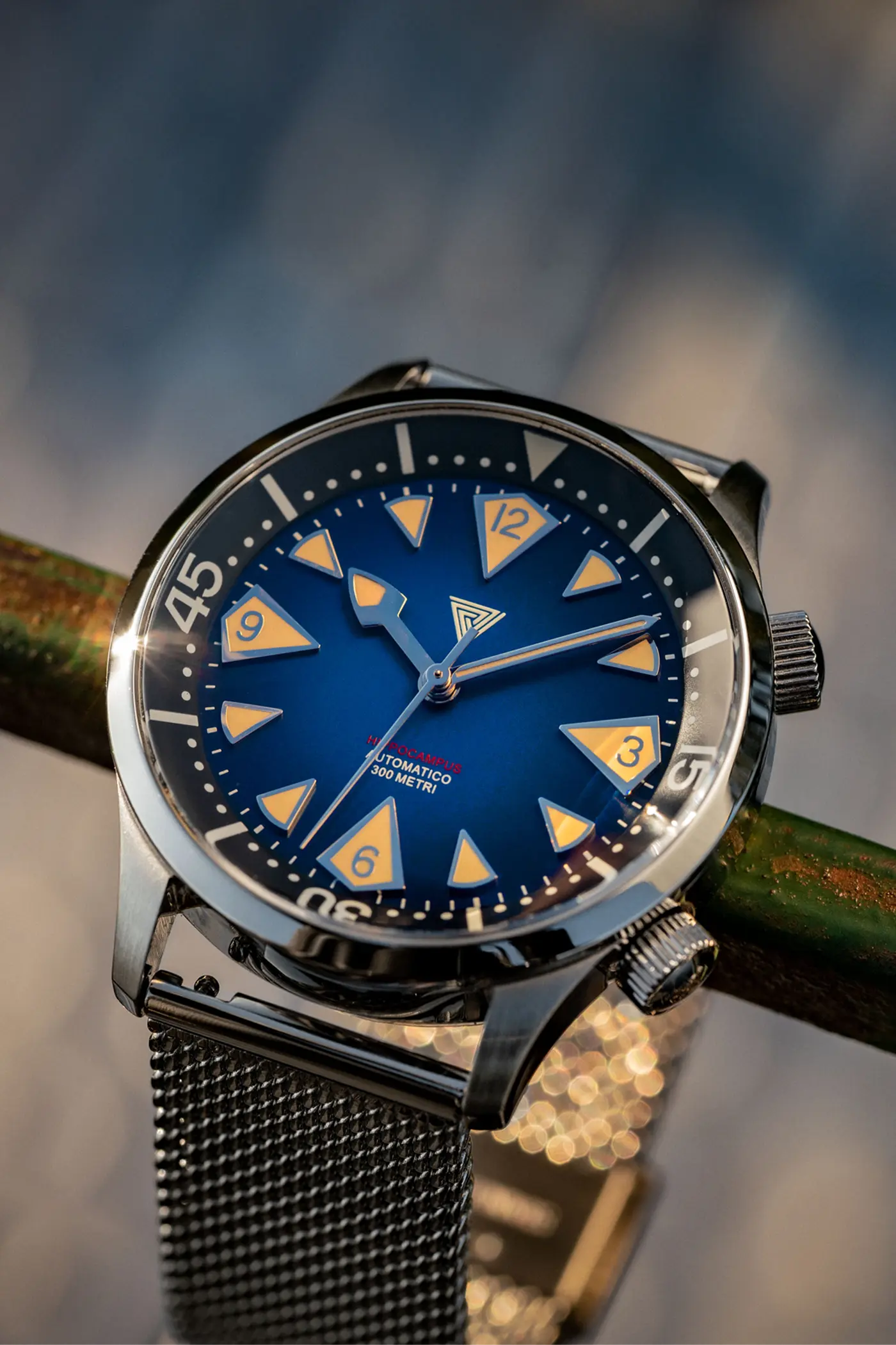 Vertigo Hippocampus Blue