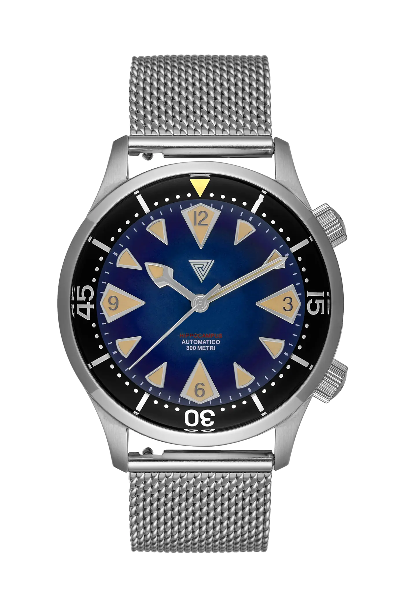 Vertigo Hippocampus Blue