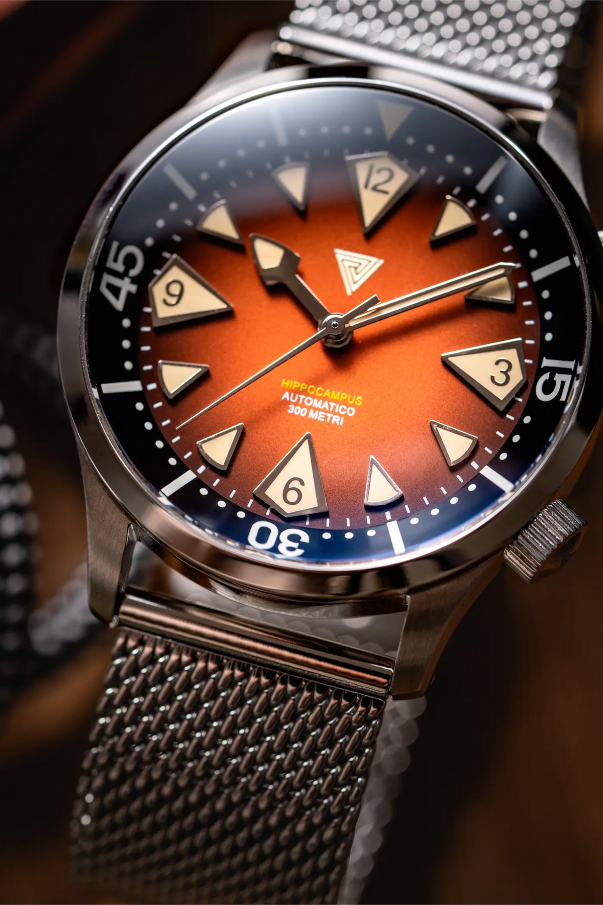 Vertigo Hippocampus Brown