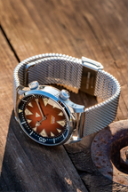 Vertigo Hippocampus Brown