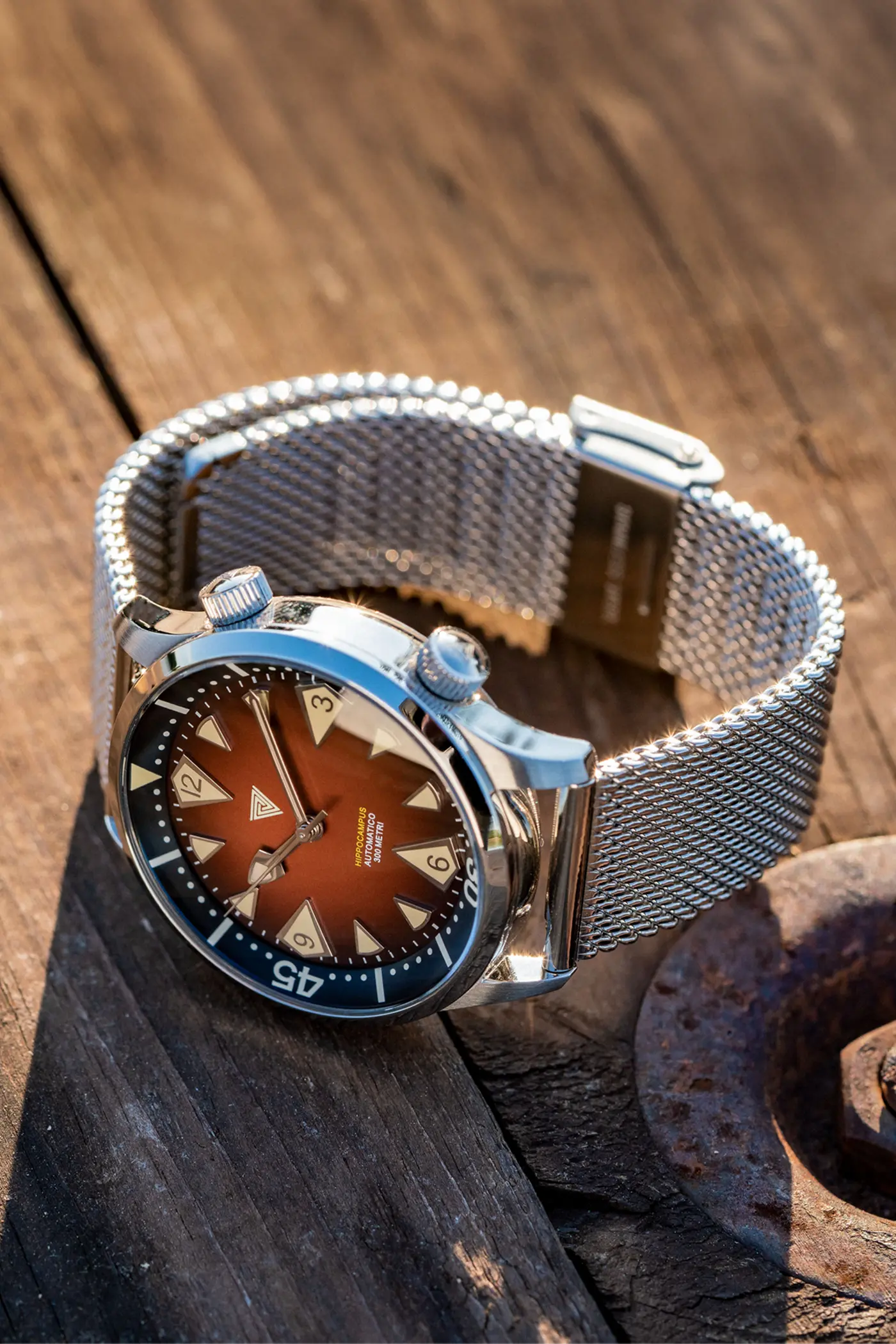 Vertigo Hippocampus Brown
