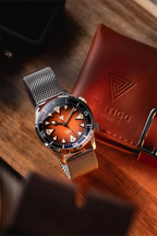 Vertigo Hippocampus Brown