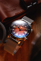 Vertigo Hippocampus Brown