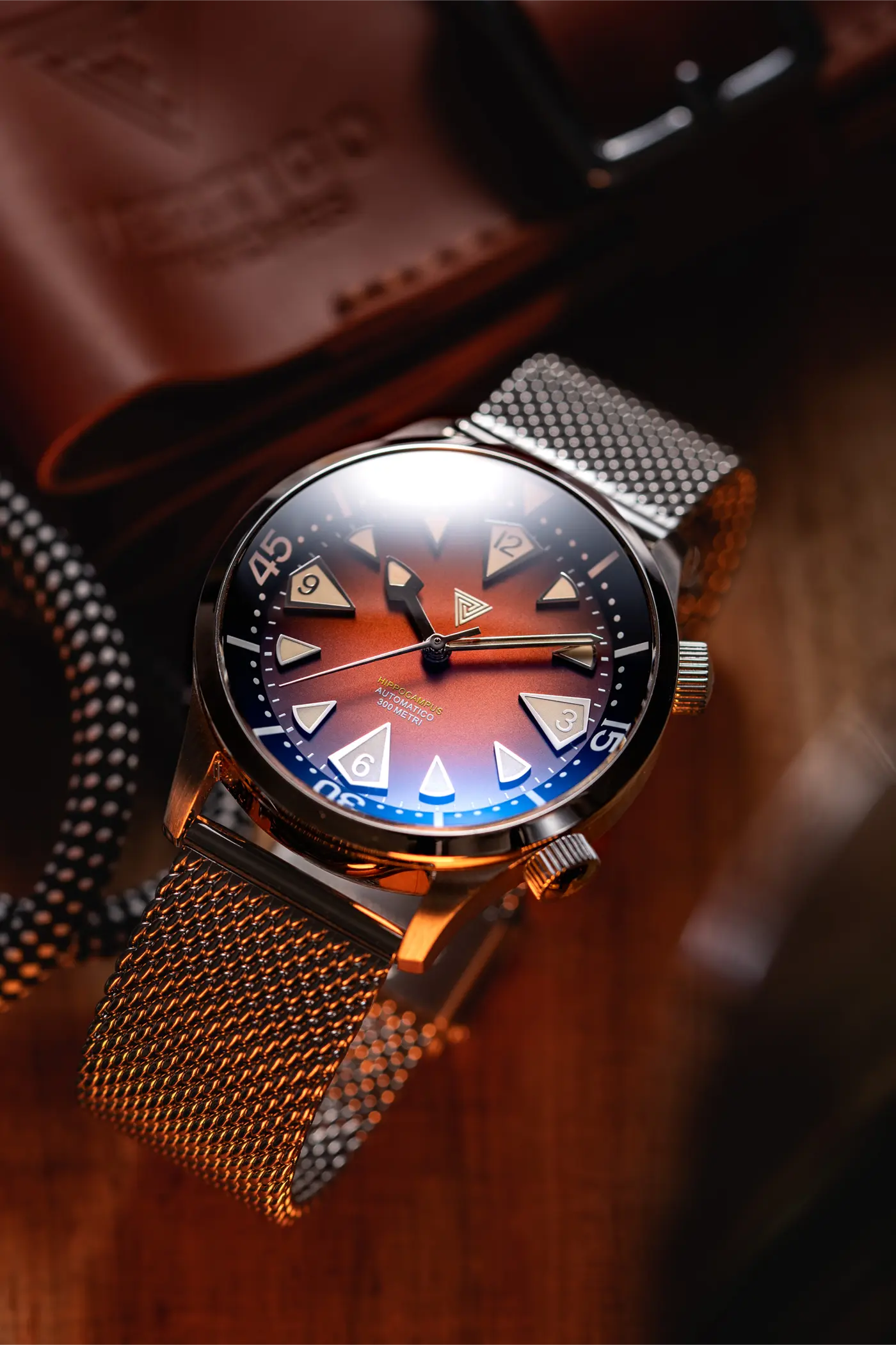 Vertigo Hippocampus Brown