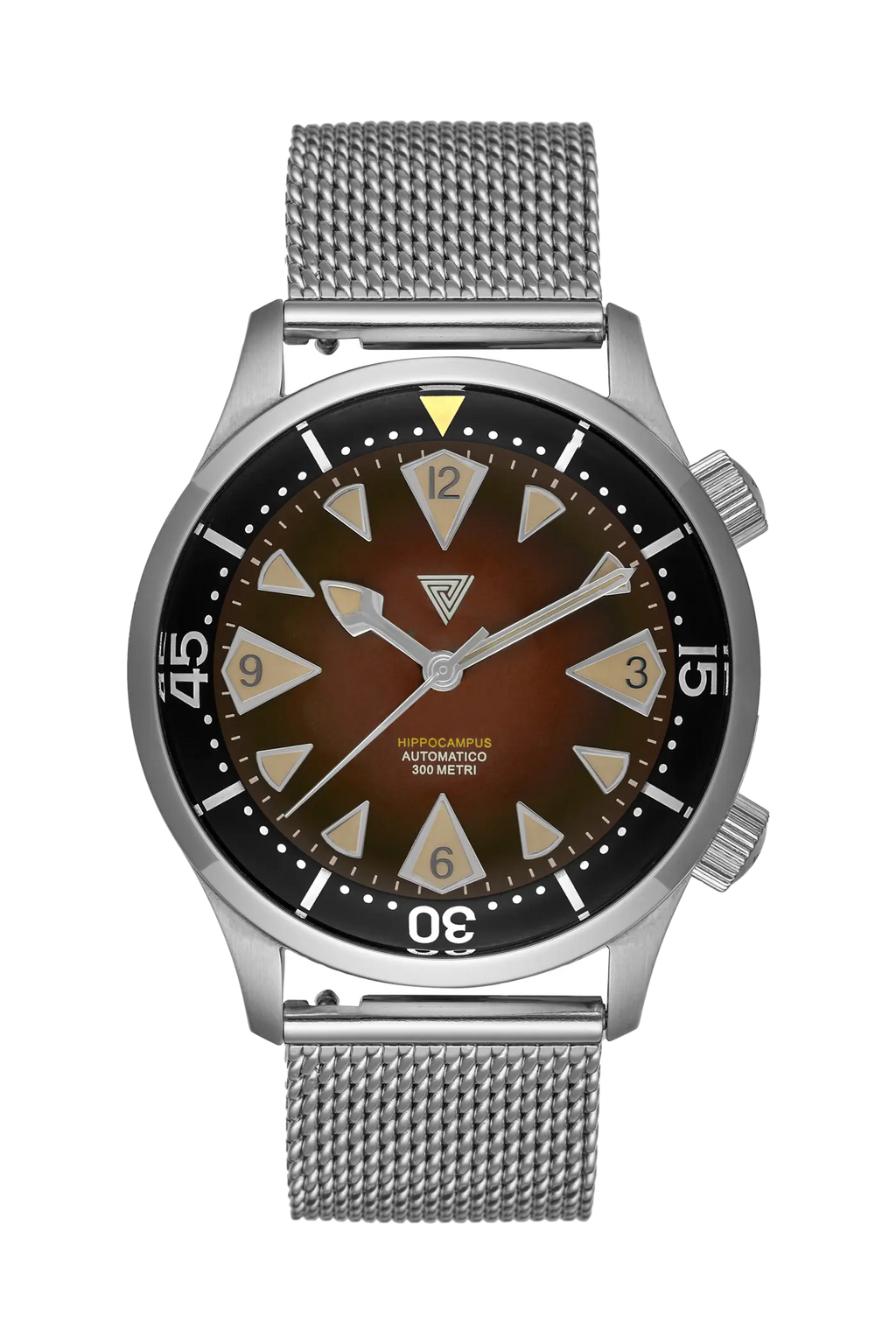 Vertigo Hippocampus Brown