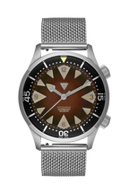 Vertigo Hippocampus Brown