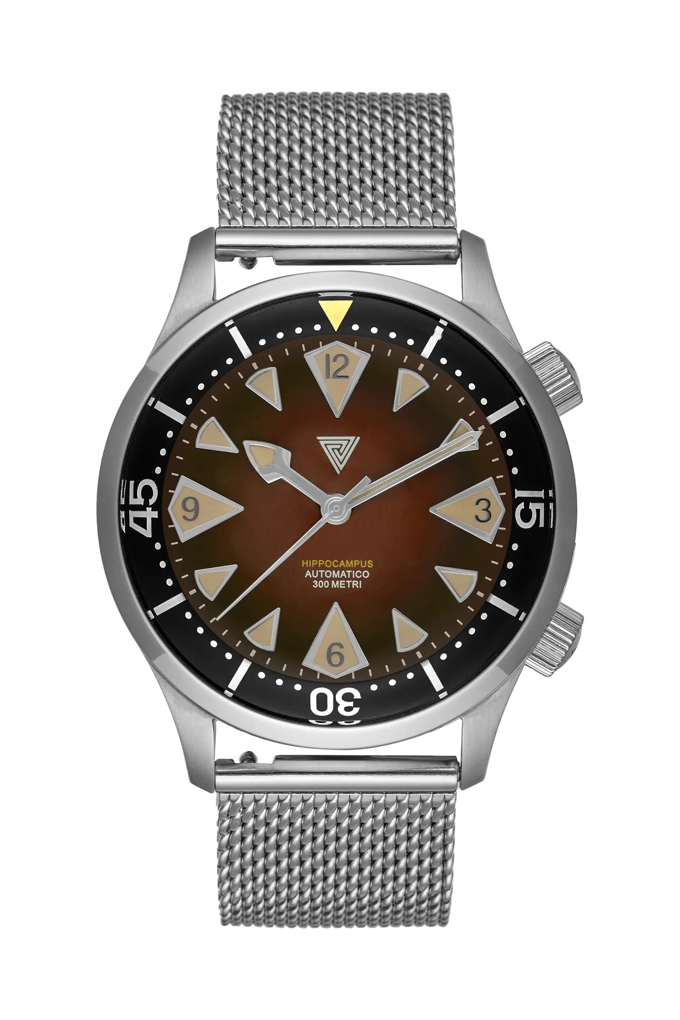 Vertigo Hippocampus Brown